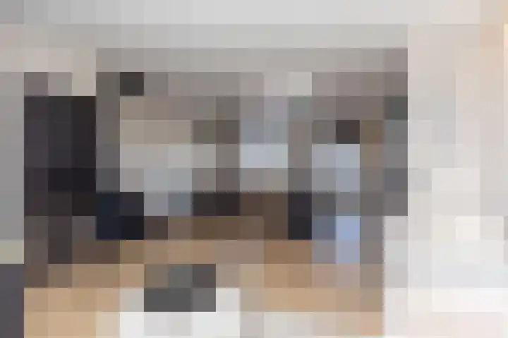 Koolmees 85 Ridderkerk thumbnail 8