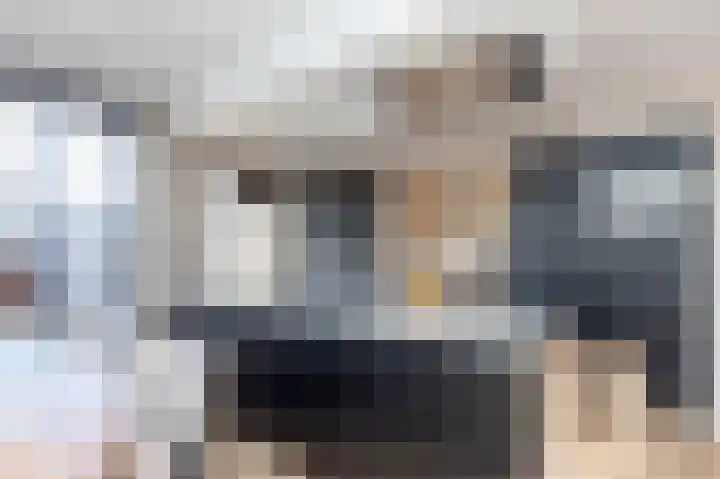 Koolmees 85 Ridderkerk thumbnail 9