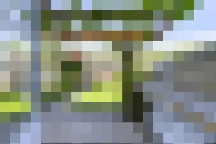 Koolmeeshaag 47 Houten thumbnail 10