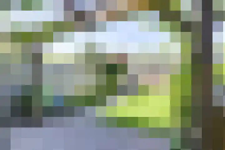 Koolmeeshaag 47 Houten thumbnail 11