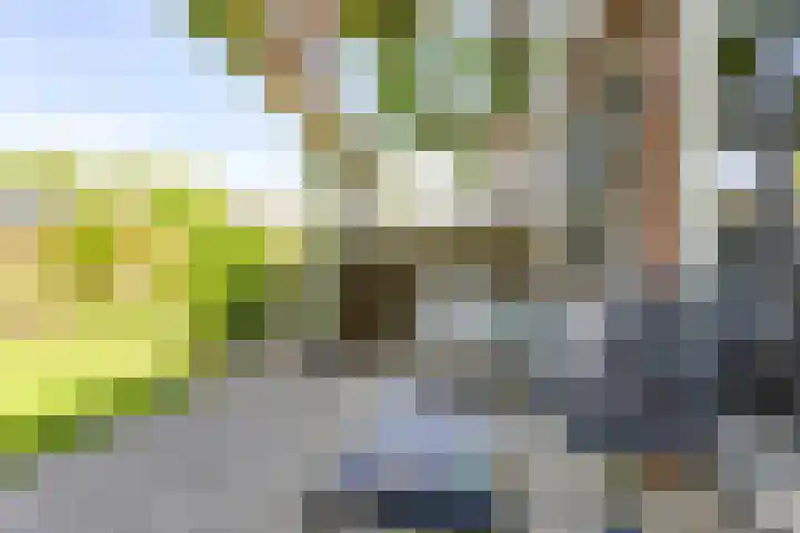 Koolmeeshaag 47 Houten thumbnail 12