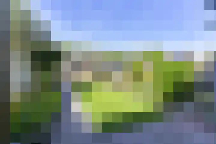 Koolmeeshaag 47 Houten thumbnail 13