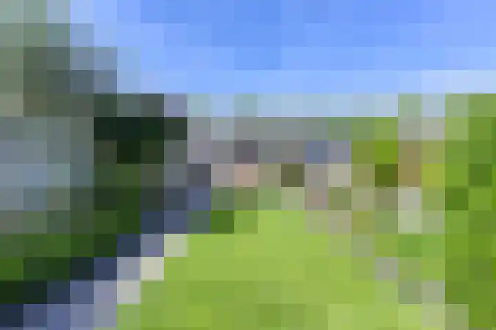 Koolmeeshaag 47 Houten thumbnail 14
