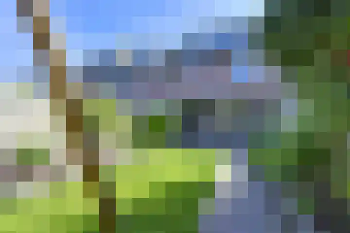 Koolmeeshaag 47 Houten thumbnail 15
