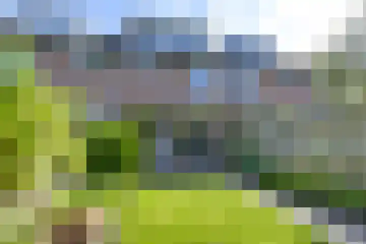 Koolmeeshaag 47 Houten thumbnail 16