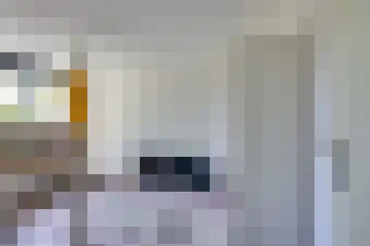Koolmeeshaag 47 Houten thumbnail 19