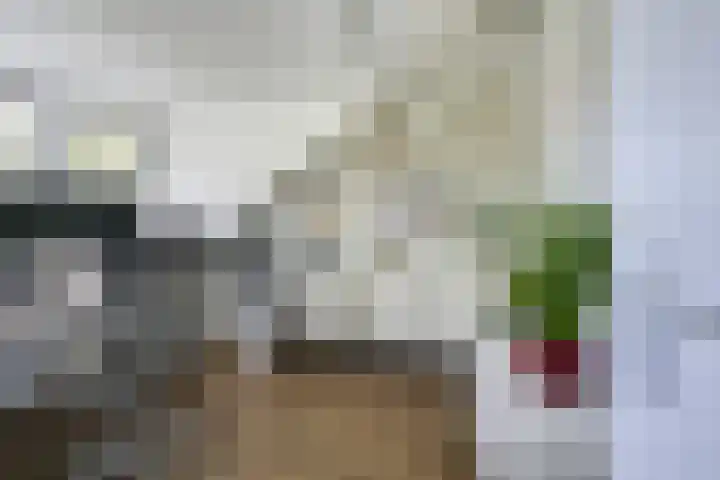 Koolmeeshaag 47 Houten thumbnail 25