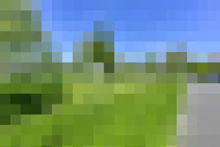 Koolmeeshaag 47 Houten thumbnail 27