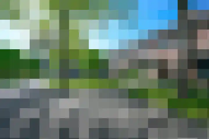 Koolmeeshaag 47 Houten thumbnail 28