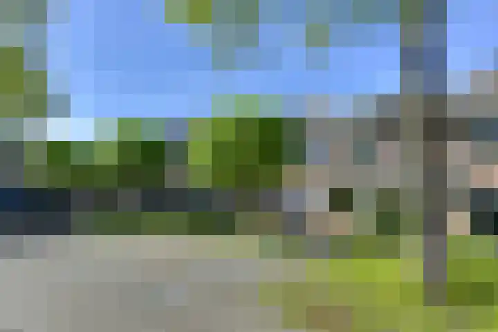 Koolmeeshaag 47 Houten thumbnail 29
