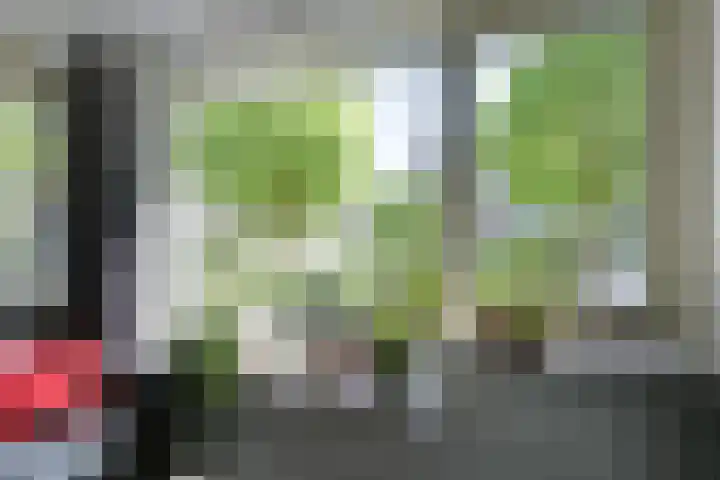 Koolmeeshaag 47 Houten thumbnail 5