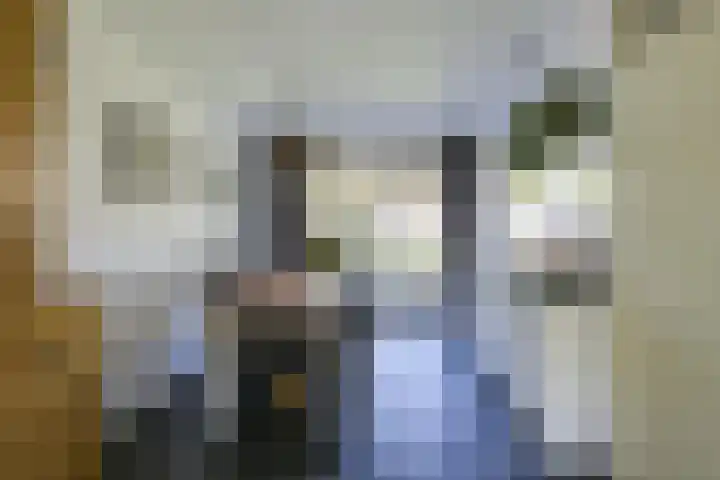 Koolmeeshaag 47 Houten thumbnail 7