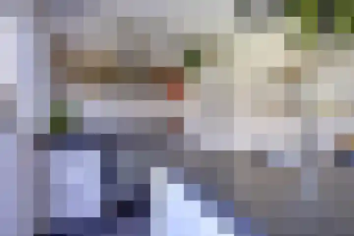 Koolmeeshaag 47 Houten thumbnail 8