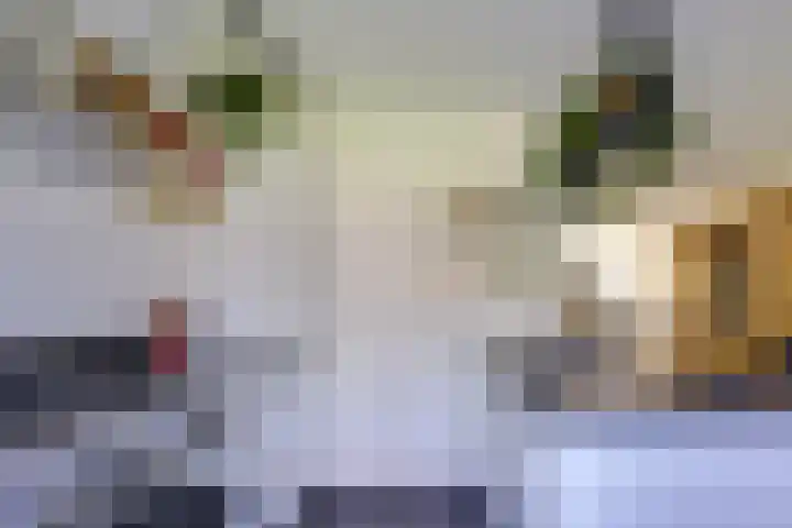 Koolmeeshaag 47 Houten thumbnail 9