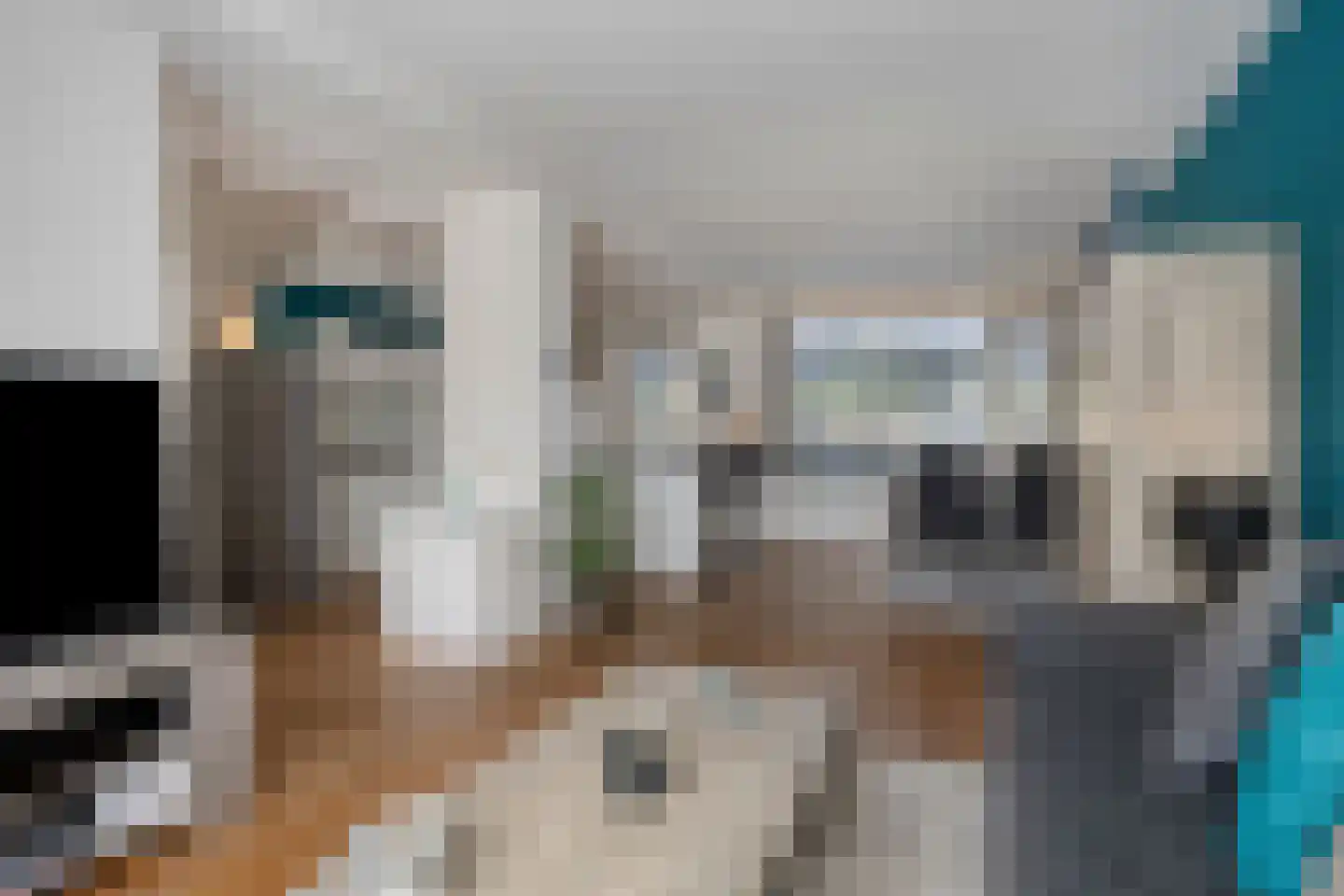 Koolmeeshof 12 Nuenen thumbnail 13