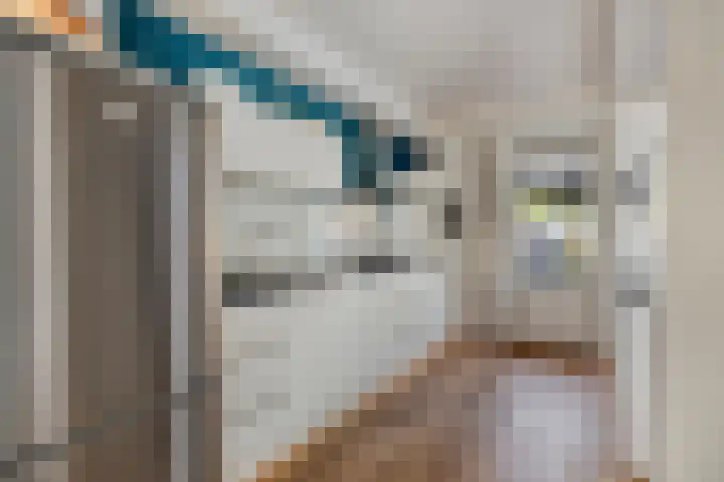 Koolmeeshof 12 Nuenen thumbnail 18