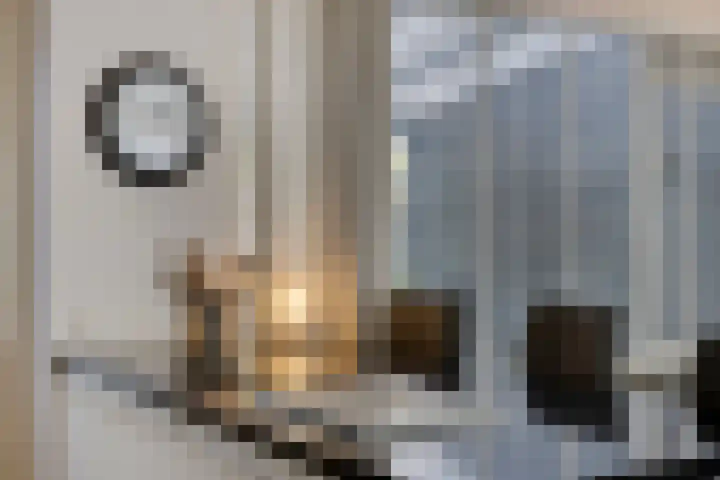Koolmeeshof 12 Nuenen thumbnail 20