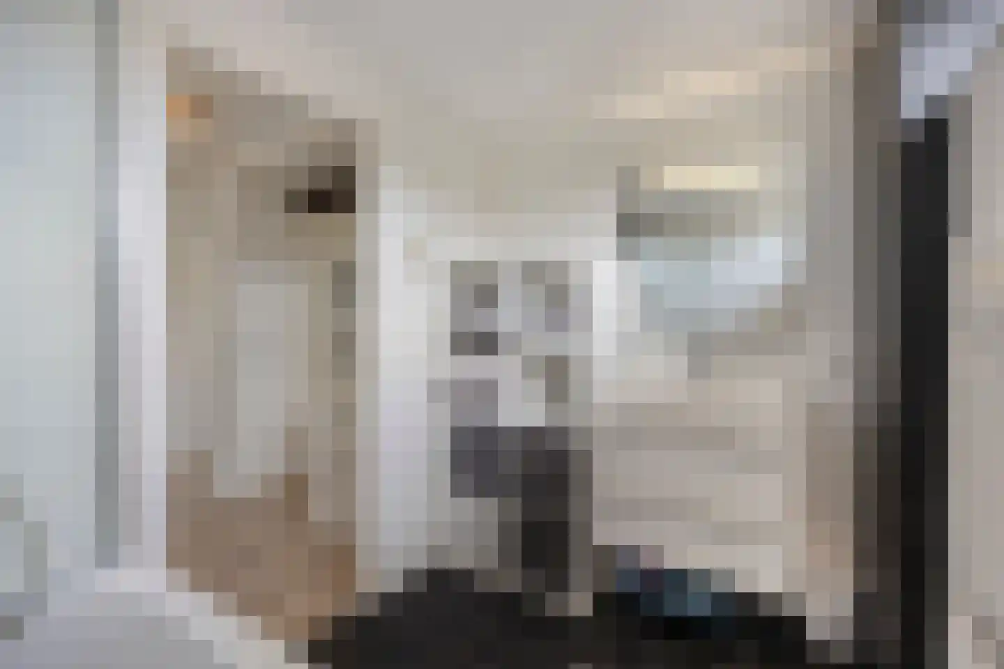 Koolmeeshof 12 Nuenen thumbnail 26