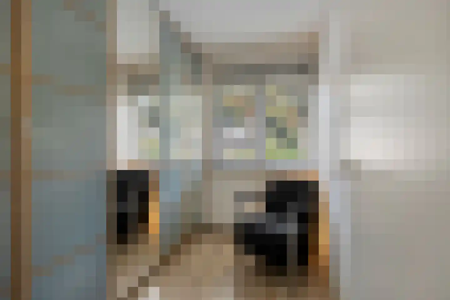 Koolmeeshof 12 Nuenen thumbnail 28