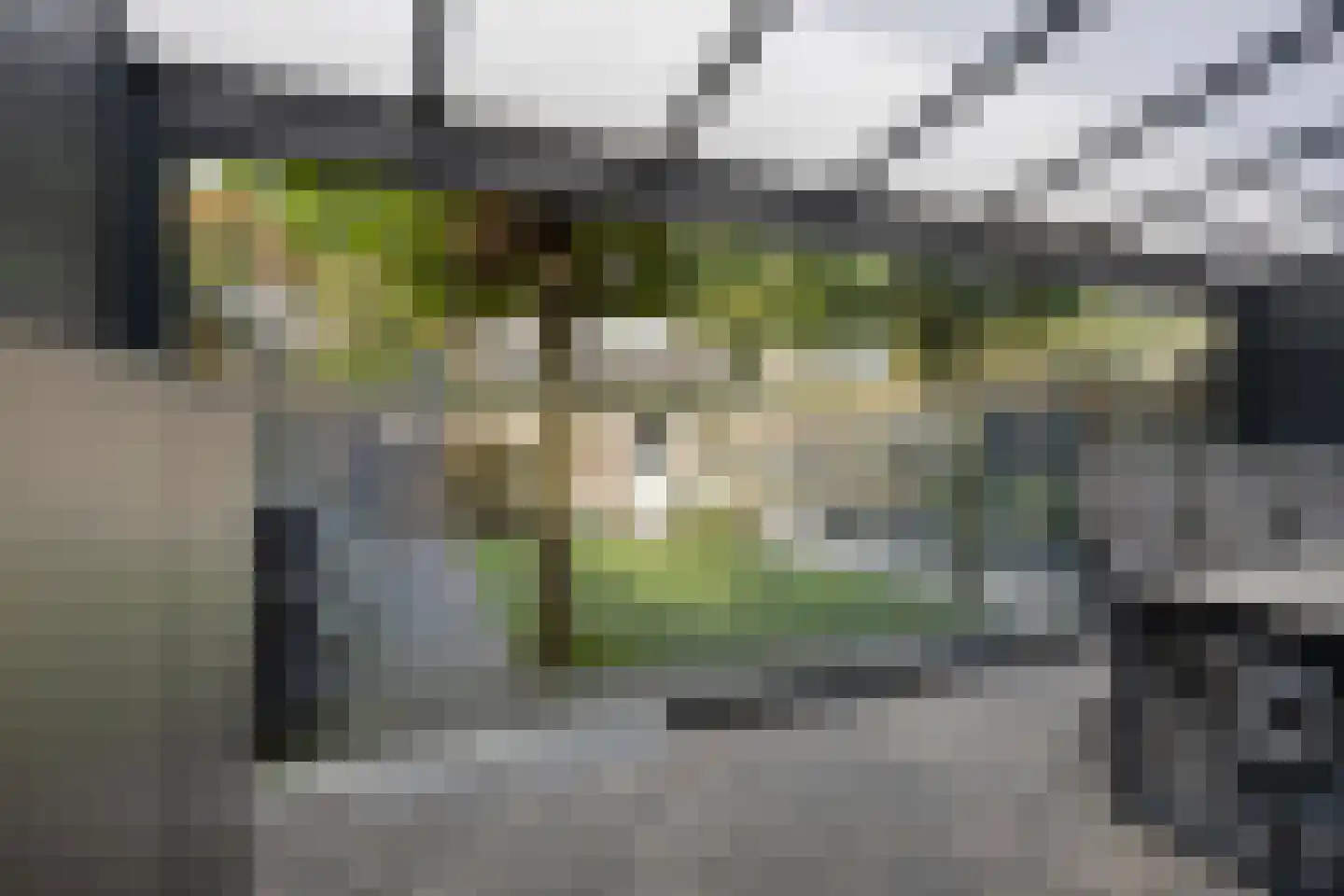 Koolmeeshof 12 Nuenen thumbnail 4
