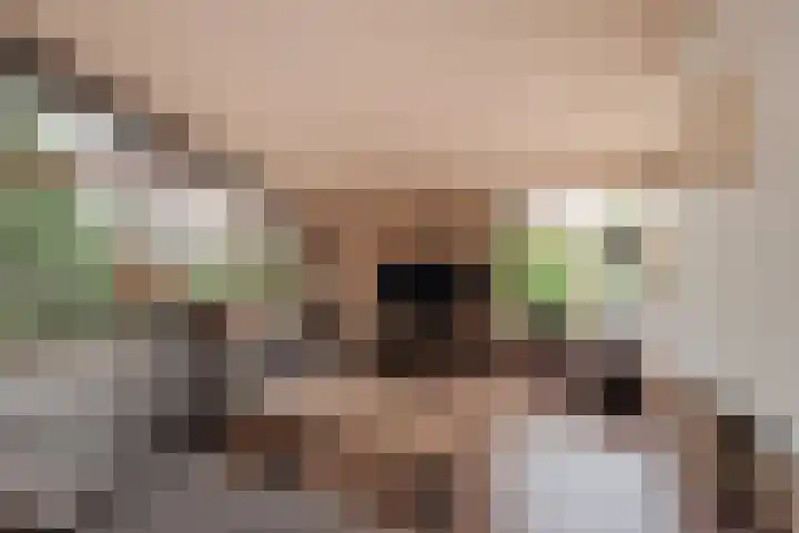 Koolmeeslaan 1 Leidschendam thumbnail 11