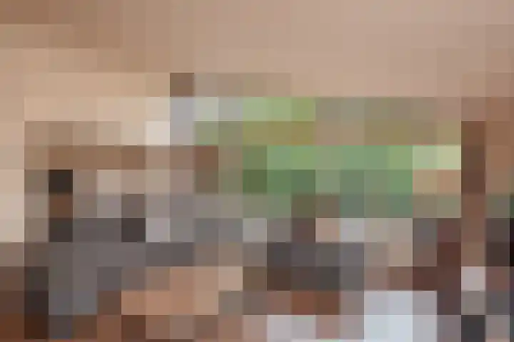 Koolmeeslaan 1 Leidschendam thumbnail 12