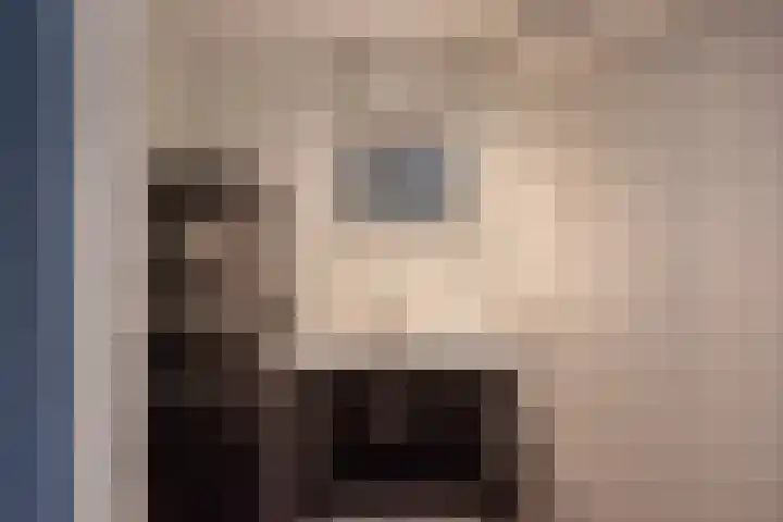 Koolmeeslaan 1 Leidschendam thumbnail 26