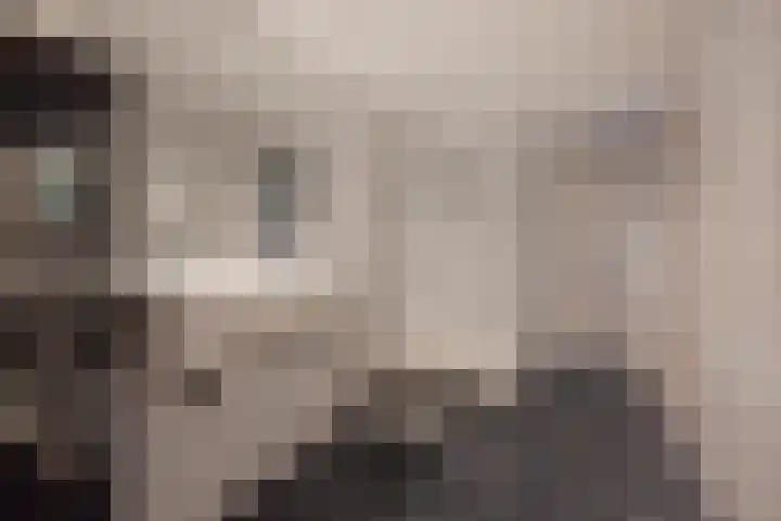 Koolmeeslaan 1 Leidschendam thumbnail 27