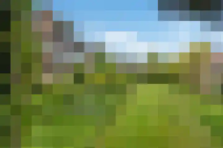 Koolmeeslaan 1 Leidschendam thumbnail 29