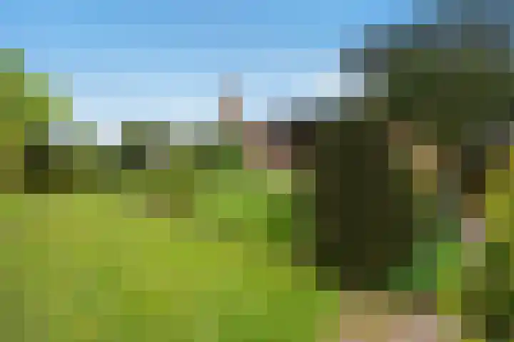 Koolmeeslaan 1 Leidschendam thumbnail 30