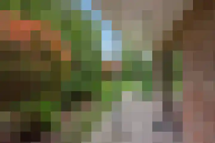 Koolmeeslaan 1 Leidschendam thumbnail 34