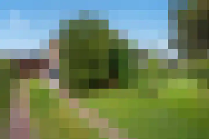 Koolmeeslaan 1 Leidschendam thumbnail 4