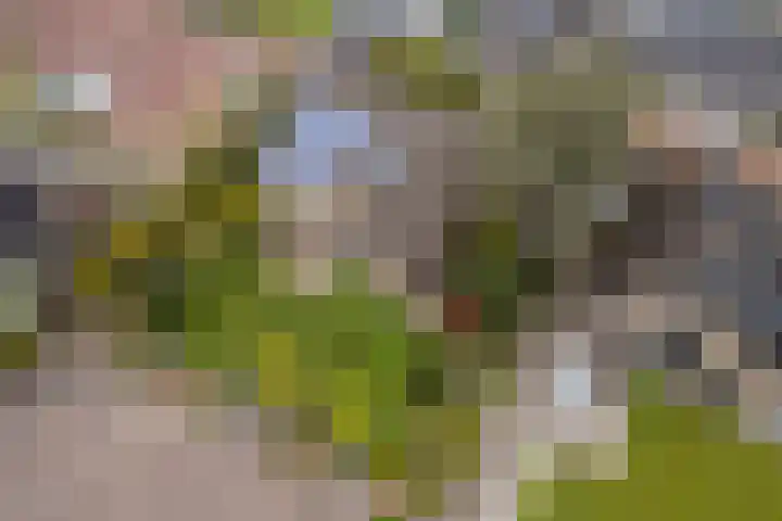 Koolmeeslaan 1 Leidschendam thumbnail 51
