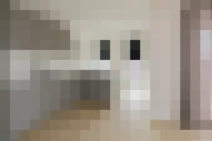 Koolmeesstraat 122 Alphen aan den Rijn thumbnail 8