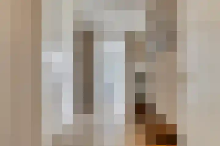 Koolmeesstraat 13 Zierikzee thumbnail 21