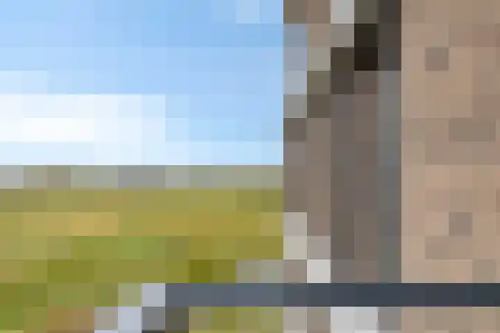 Koolmeesstraat 13 Zierikzee thumbnail 27
