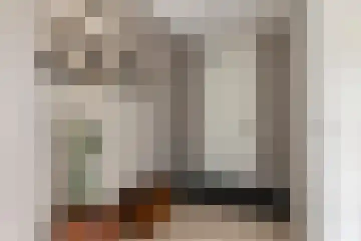 Koolmeesstraat 13 Zierikzee thumbnail 33