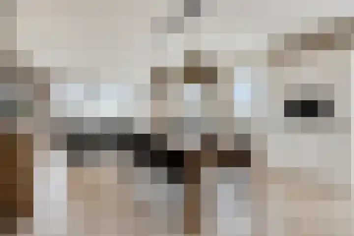 Koolmeesstraat 13 Zierikzee thumbnail 4