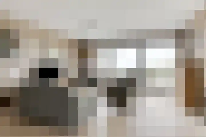 Koolmeesstraat 13 Zierikzee thumbnail 6