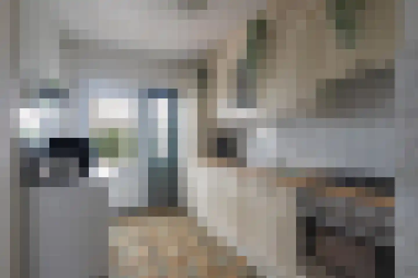 Koolmeesstraat 22 Heerlen thumbnail 10