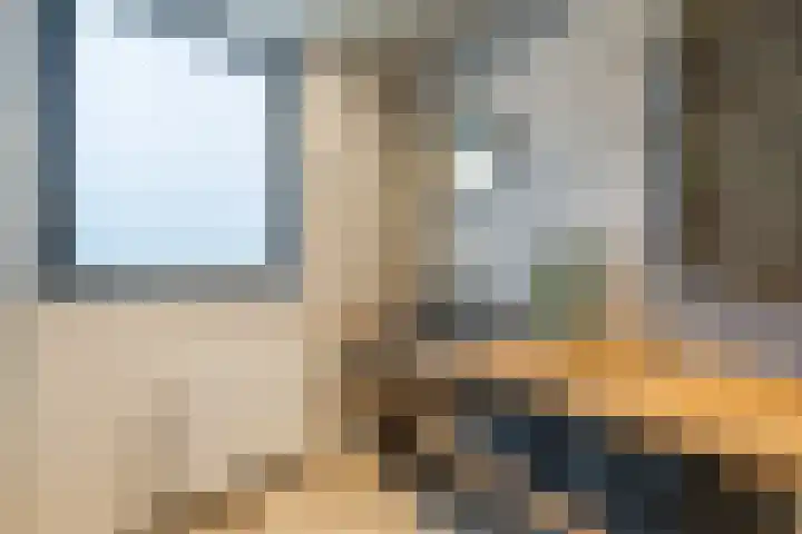 Koolmeesstraat 27 Sterksel thumbnail 12