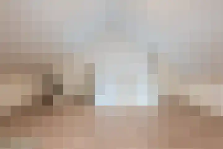 Koolmeesstraat 27 Sterksel thumbnail 18