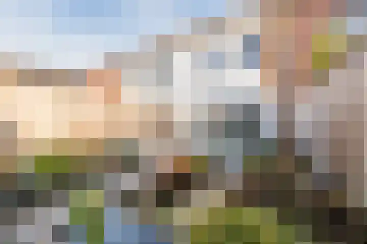 Koolmeesstraat 27 Sterksel thumbnail 20