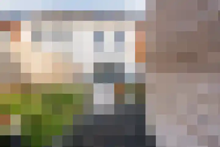 Koolmeesstraat 27 Sterksel thumbnail 21