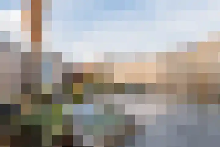 Koolmeesstraat 27 Sterksel thumbnail 22