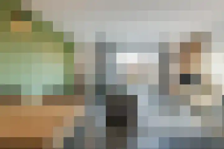 Koolmeesstraat 27 Sterksel thumbnail 4
