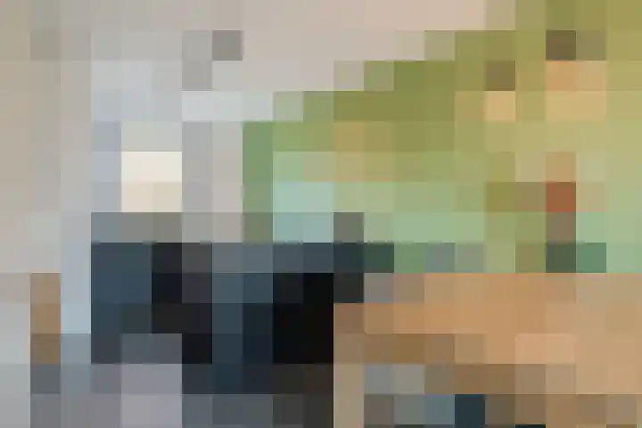 Koolmeesstraat 27 Sterksel thumbnail 6