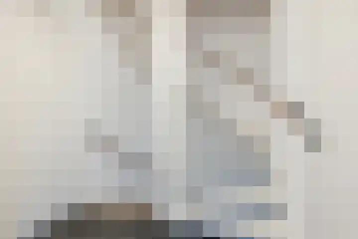 Koolmeesstraat 27 Sterksel thumbnail 8