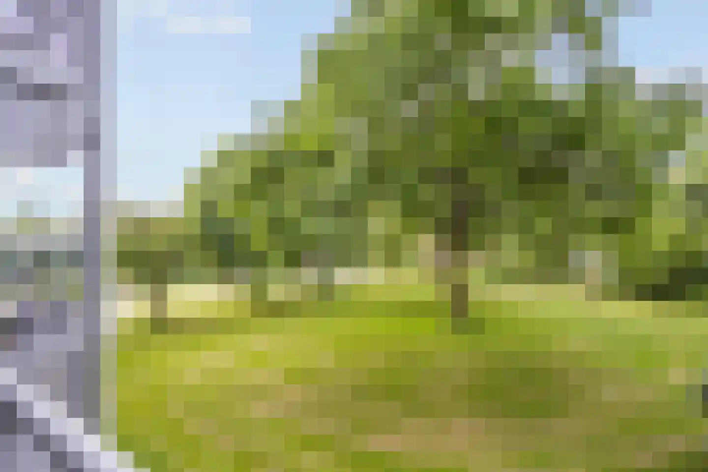 Koolmeesstraat 3 Leiderdorp thumbnail 15