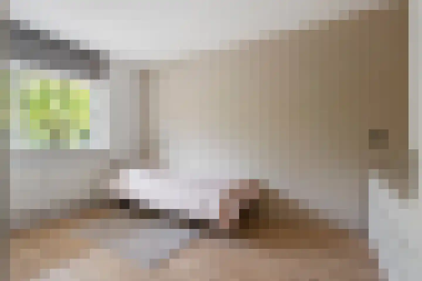 Koolmeesstraat 3 Leiderdorp thumbnail 25